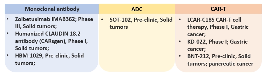 Claudin 18.2-targeted therapies