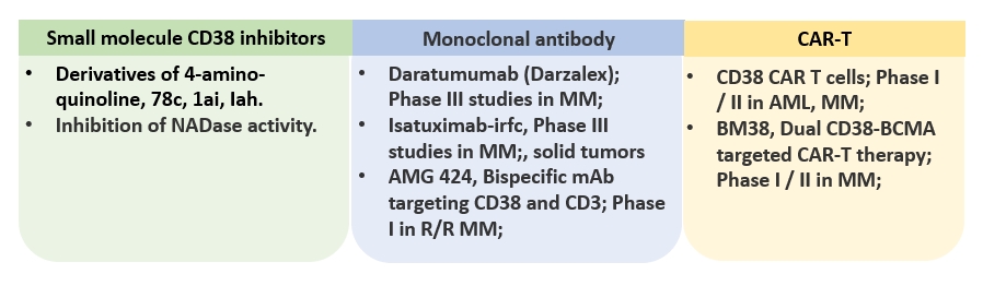 CD38-targeted therapies approaches.