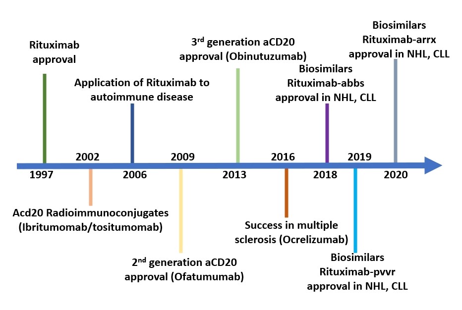 Main approved antibodies and combinations targeting CD20.