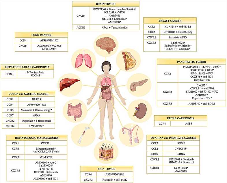 Chemokine receptor inhibitors in cancer. (Mollica, 2019)