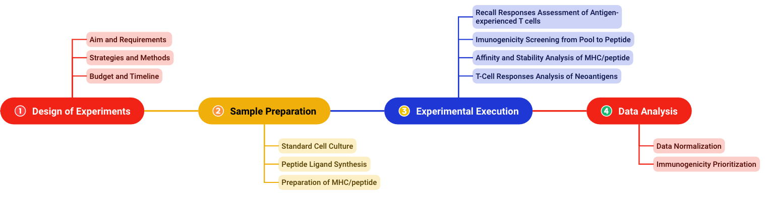 Fig.2 Experimental workflow for immunogenicity assessment. (Creative Biolabs Original)