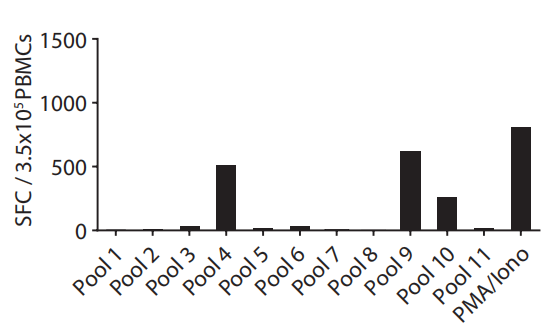 Fig.3 Immunogenicity assessment of peptide pools. (Bräunlein, et al., 2021)