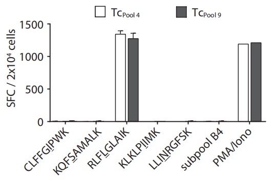 Fig.4 Immunogenicity assessment of neoantigens. (Bräunlein, et al., 2021)