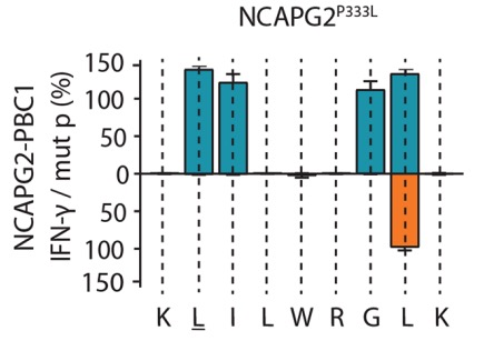 Fig.4 IFN-γ secretion of a defined neoantigen. (Bräunleinl, et al., 2021)