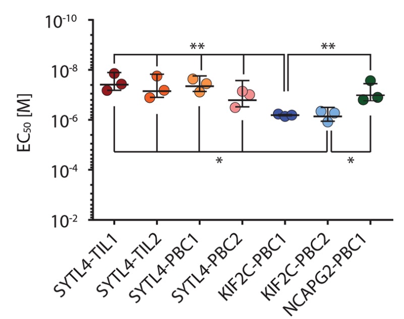 Fig.5 Functional avidity analysis of neoantigen-specific TCRs. (Bräunleinl, et al., 2021)