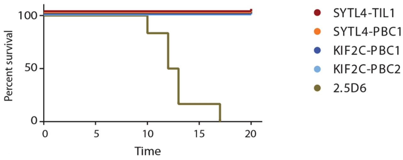 Fig.6 Survival curve of tumor-bearing mice injected with neoantigen-specific TCR-T cells. (Bräunleinl, et al., 2021)