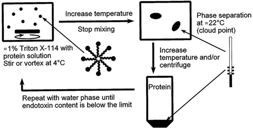 Fig.1 Removal of endotoxins by two-phase extraction with Triton X-114. (Petsch, 2000)