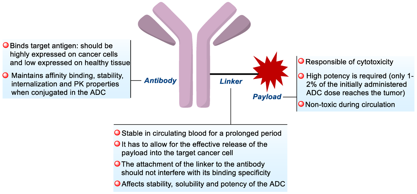 Fig.2 ADC’s structure. (Cheng-Sánchez, et al., 2022)