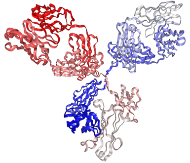 Fig.1 Characterization. (Creative Biolabs Original)