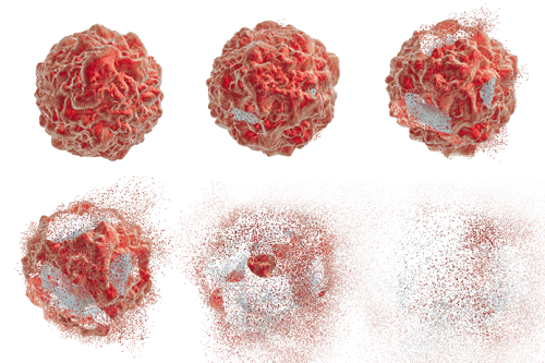 Fig.1 (Creative Biolabs Original)