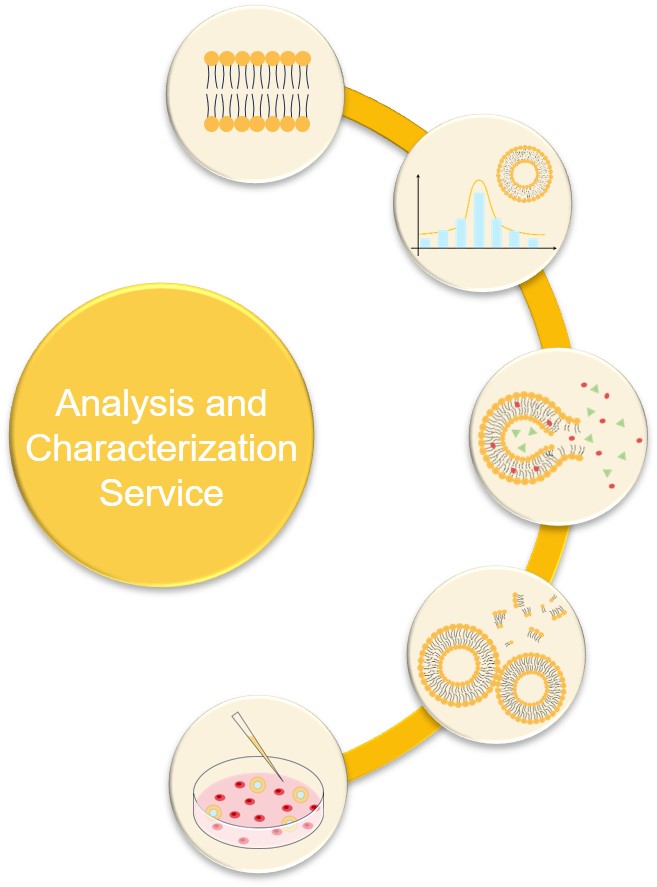 Details of Liposome Analysis and Characterization Services. (Creative Biolabs Original)