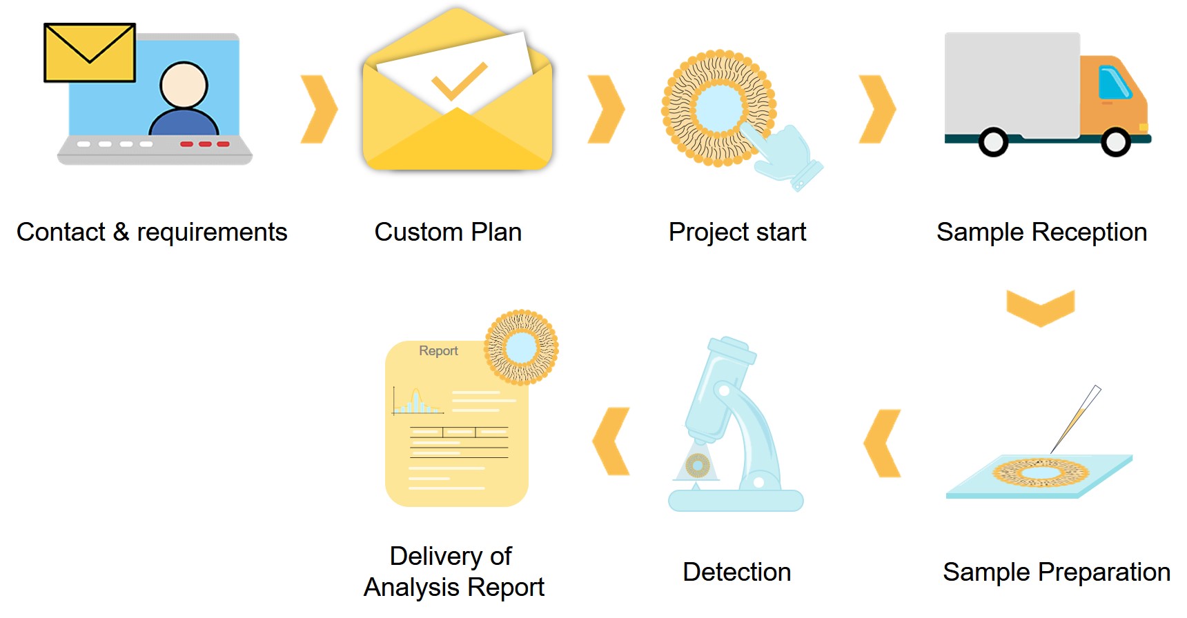 Workflow of Liposome Analysis and Characterization Services for Creative Biolabs. (Creative Biolabs Original)