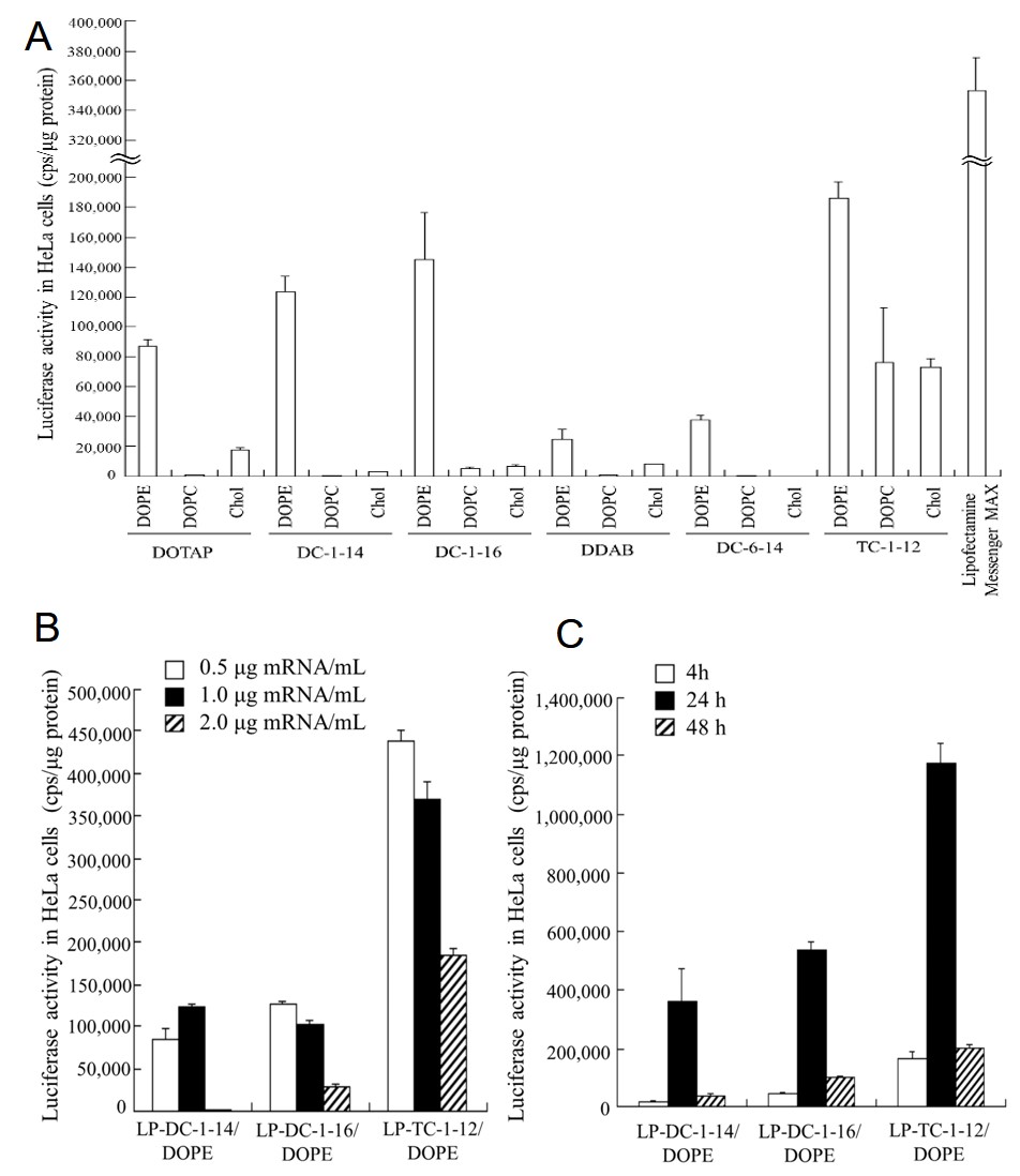 Factors influencing luciferase expression in hela cells. (Tang, Min, et al., 2023)