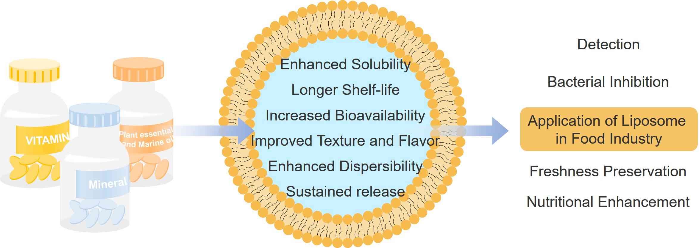 Liposomes for food industry. (Creative Biolabs Original)