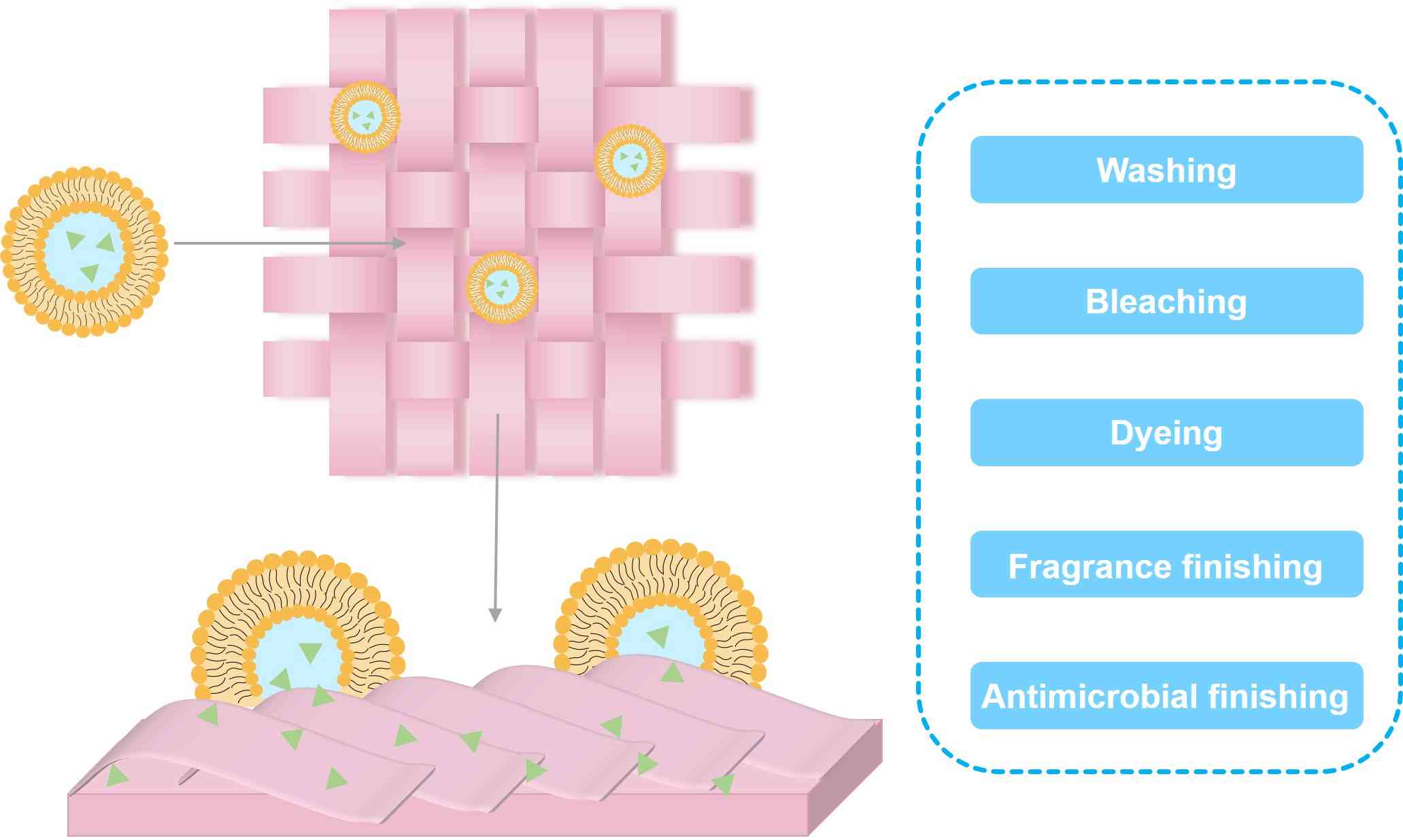 Liposomes can be applied to textile processes by releasing their contents. (Creative Biolabs Original)