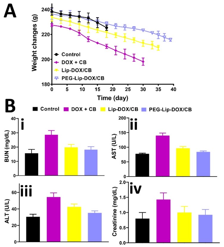 Therapeutic effects of co-delivery of DOX and CD liposomes in glioblastoma rats. (Ghaferi, Mohsen, et al., 2022)