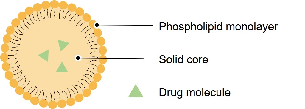 Fig.1 Schematic representation of a lipid microsphere. (Creative Biolabs Original)