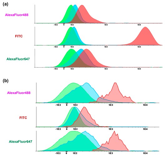 Fluorescence differences between lymphocytes, isotype controls, and conjugated antibody.