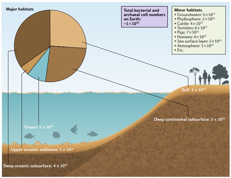 Abundance of creatures in different habitats.