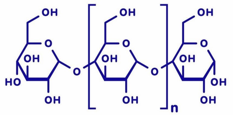 Structure of PS.