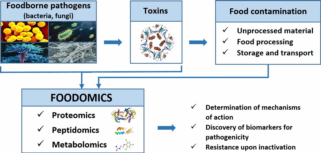 Foodborne pathogens and their toxins.