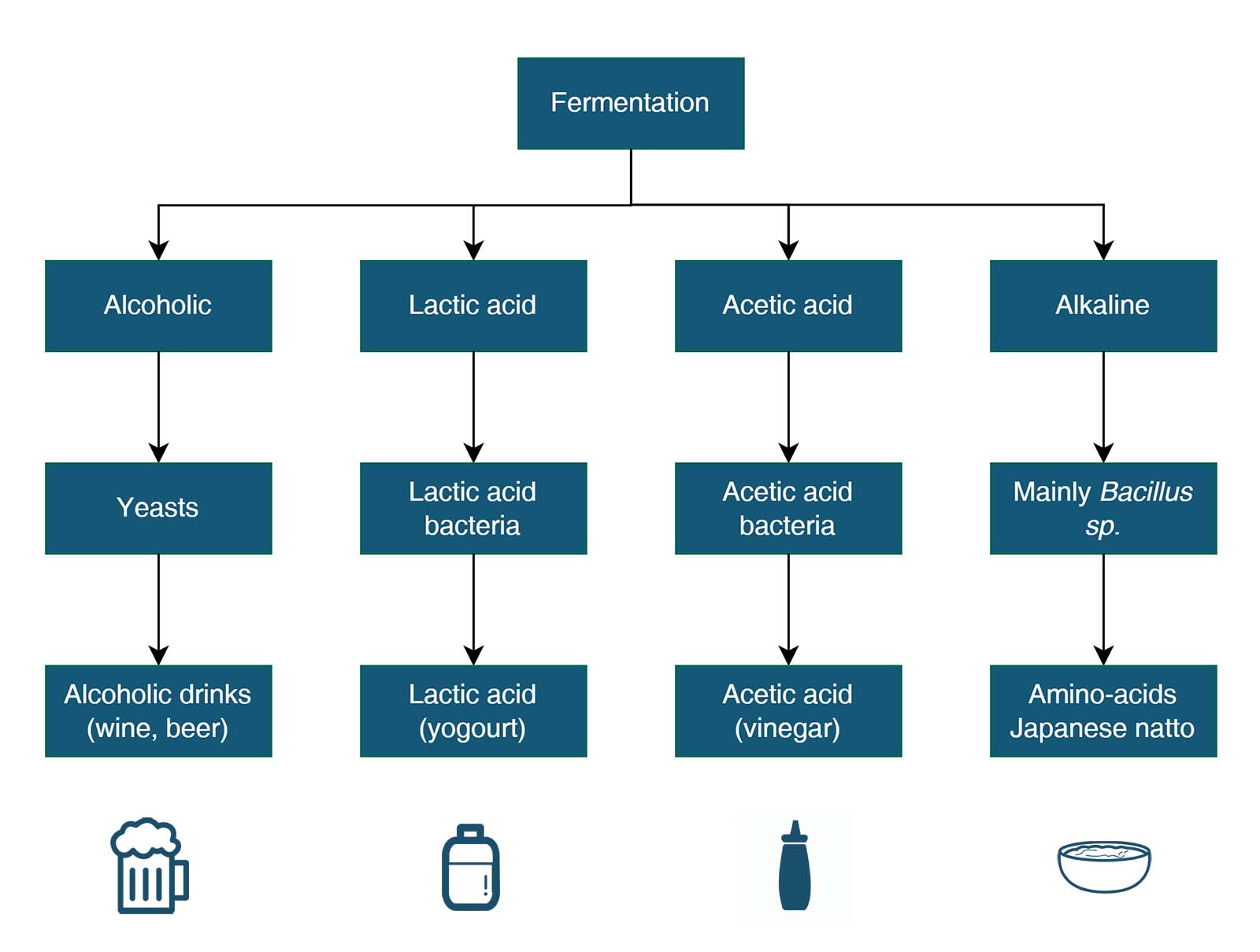 Fermentation types and microorganisms.