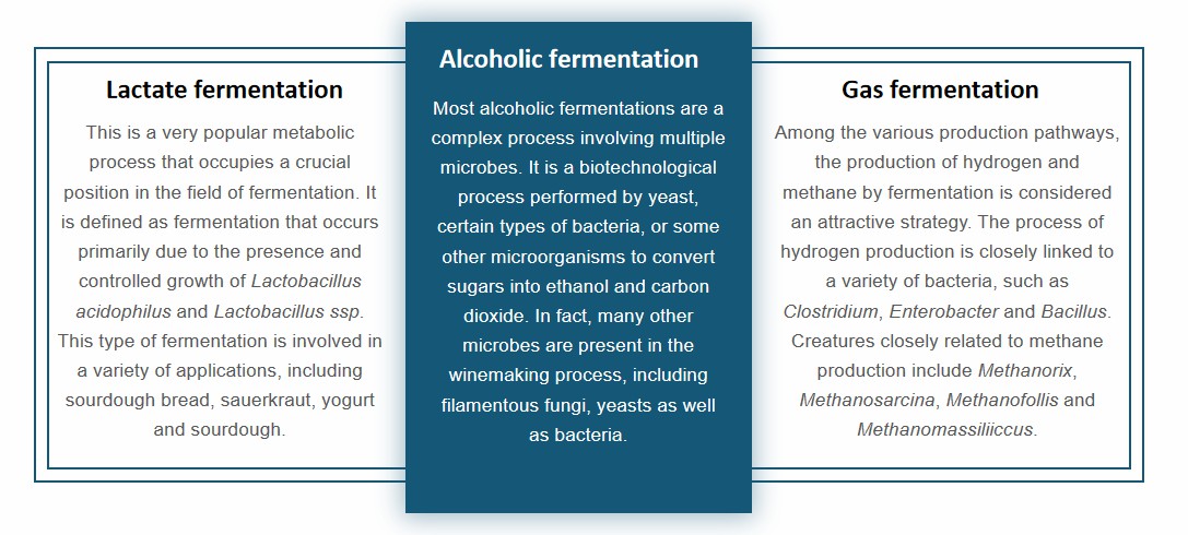 Classification of microbial fermentation.