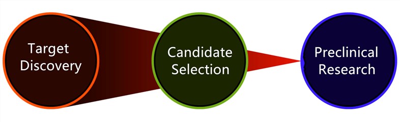 The Protocol of Novel Target Discovery Strategies. - Creative Biolabs