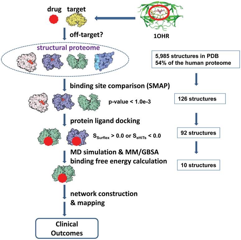 The structural proteome-wide off-target pipeline.