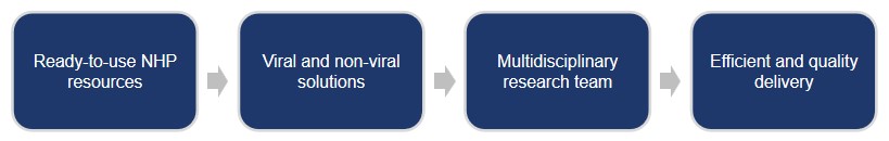 Fig.2 The strengths of Creative Biolabs in the NHP-based gene therapy platform (Creative Biolabs Original)