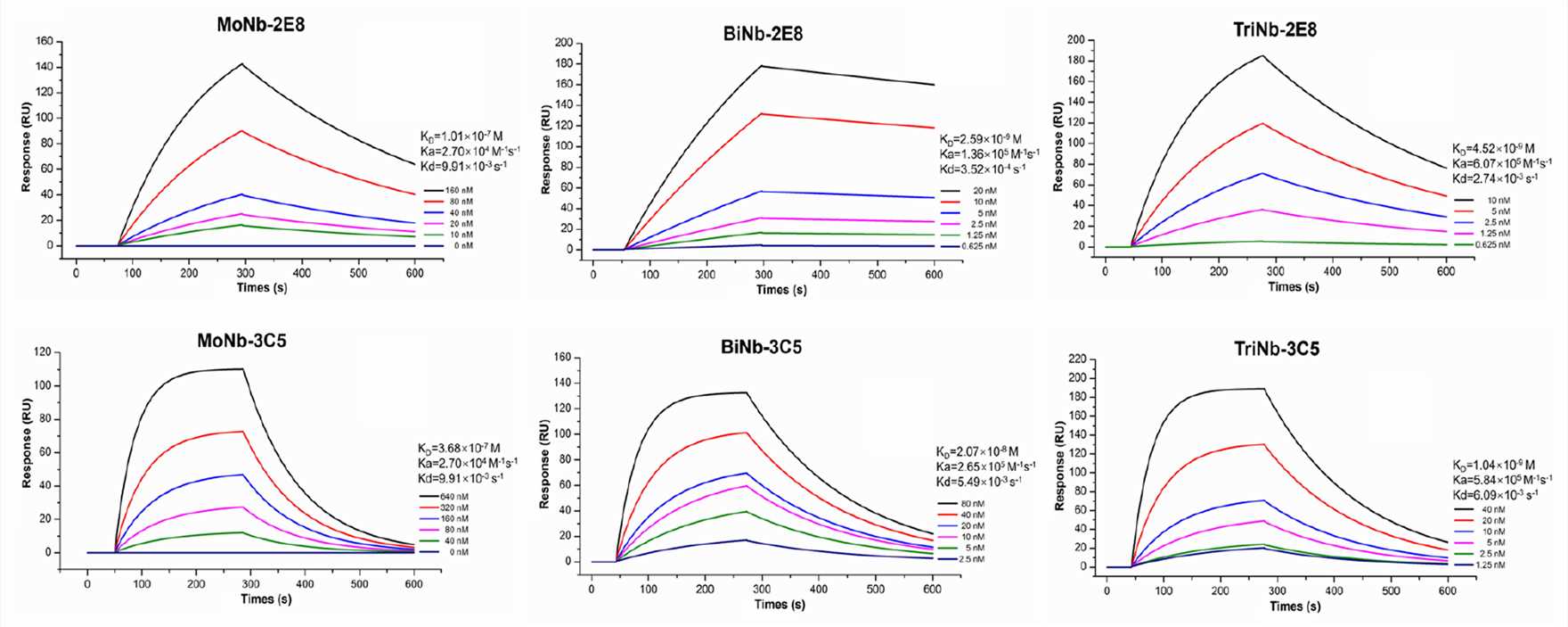 Fig. 2 Biophysics of the VHH antibodies binding to CHIKV E2. (Qianlin Li, 2022)