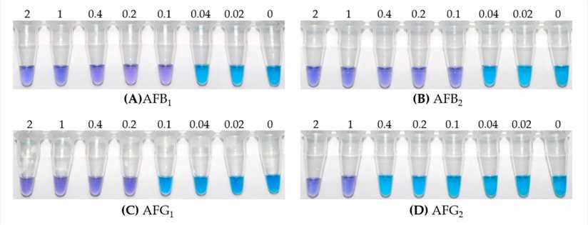 Fig. 2 Visual detection limits of iLAMP for four aflatoxins. (Jiawen Lei, 2020)