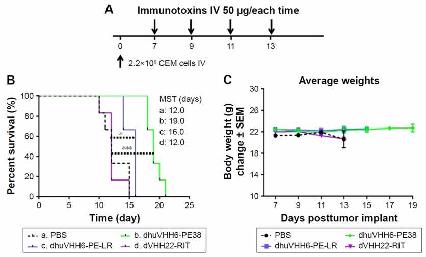 Fig. 2 In vivo evaluation of dhuVHH6-PE38 in CEM xenograft tumor model. (Yuan Yu, 2017)