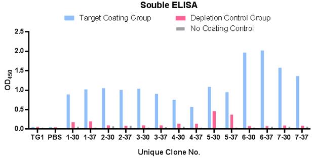 Fig. 3 A ELISA data shows there are 7 unique clones identified from premade libarary to recognize the target MHC-peptide positively. (Creative Biolabs Original)