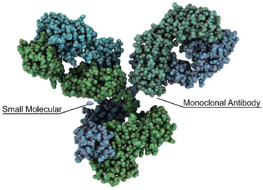 Fig. 1 Small molecule size comparison. (Creative Biolabs Original)