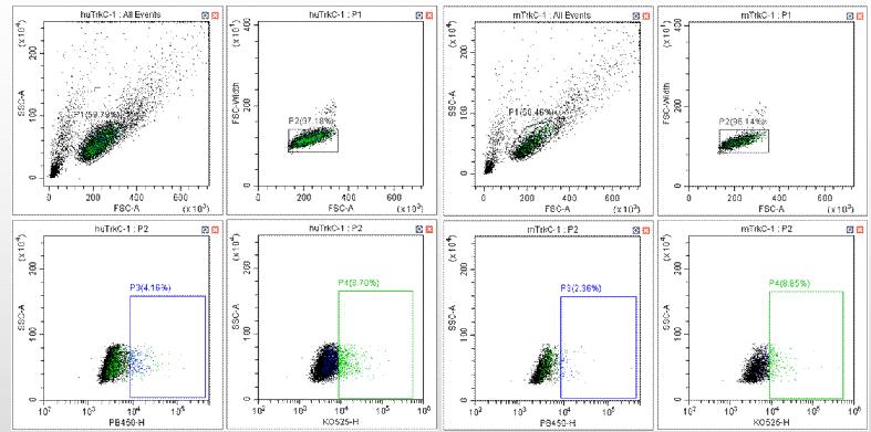 Fig.2 High-throughput FACS Technology. (Creative Biolabs Original)