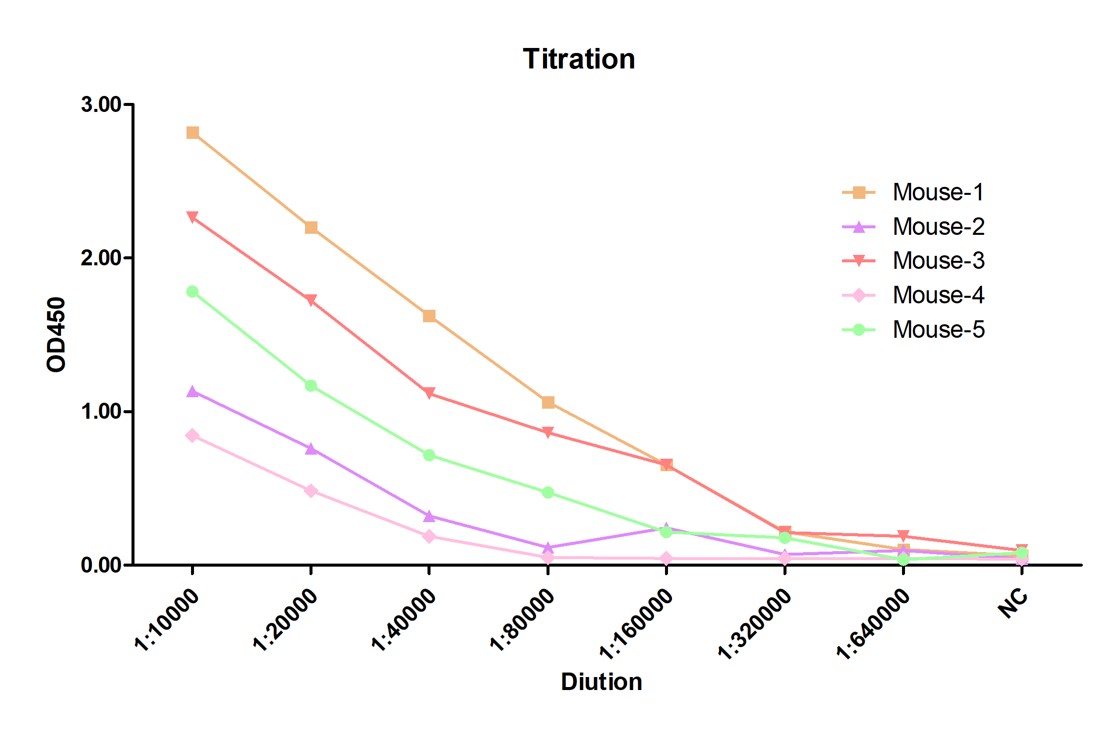 Fig.2 Animal immunization. (Creative Biolabs Original)