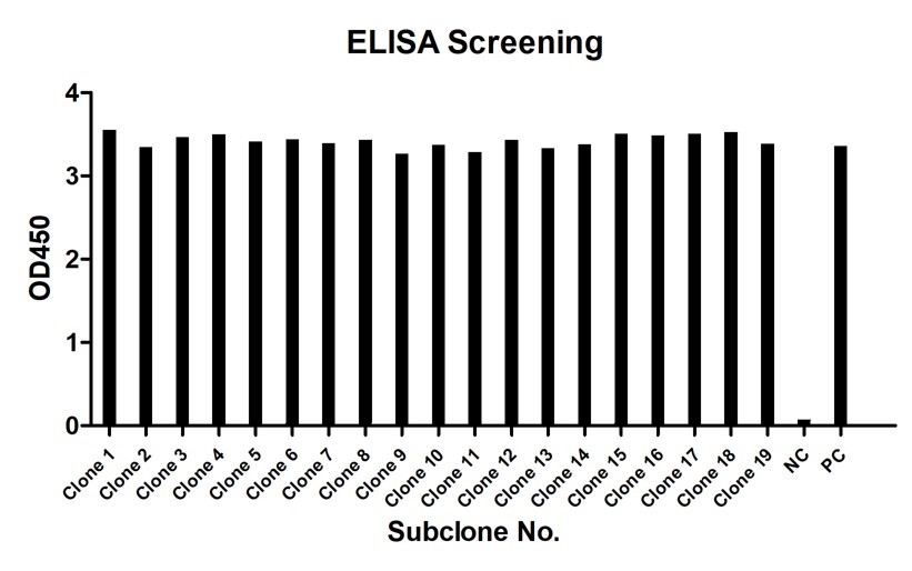 Fig.3 ELISA screening. (Creative Biolabs Original)