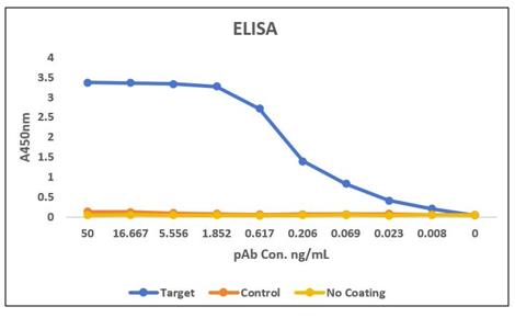 Fig. 9 A QC assay ensures the polyclonal antibodies can recognize the target properly. (Creative Biolabs Original)