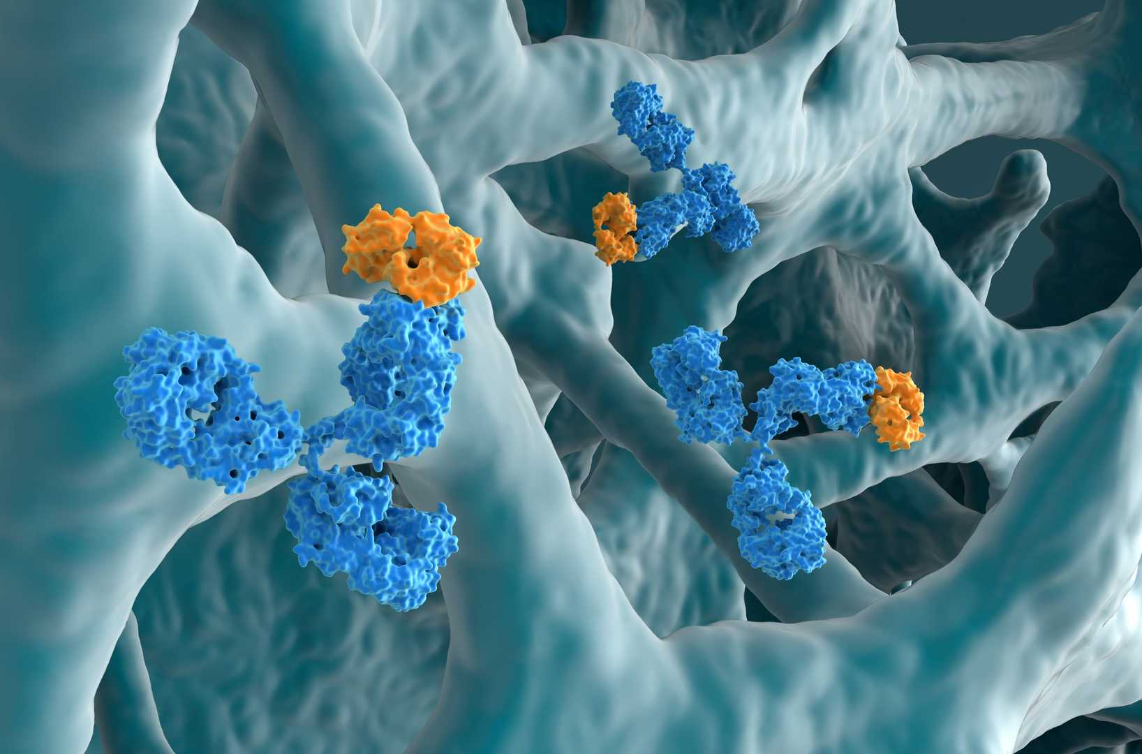 Antibody 1. (Creative Biolabs Authorized)