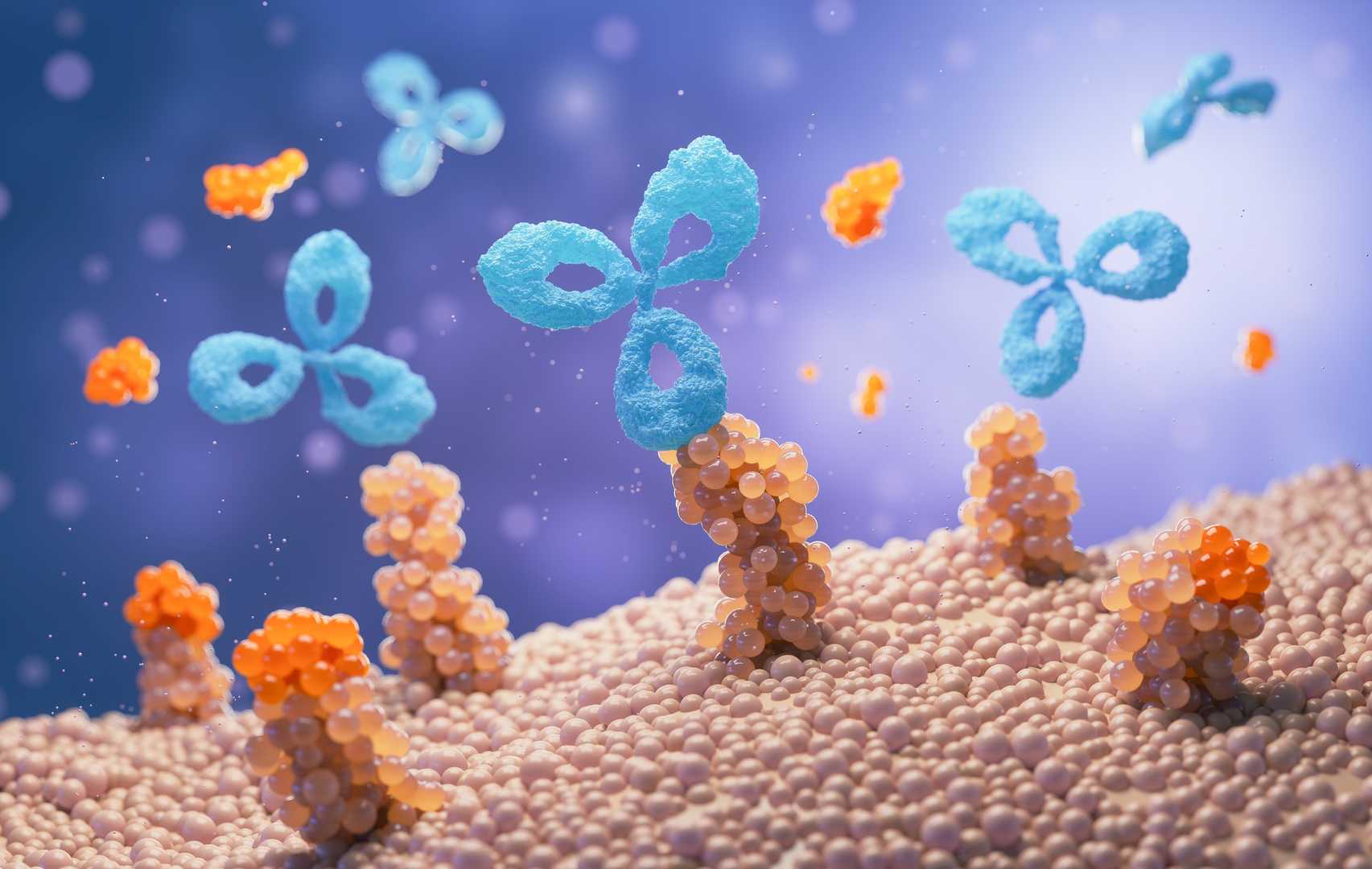 Antibody 2. (Creative Biolabs Authorized)