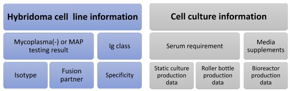 Factors affecting mAb production. (Creative Biolabs Original)