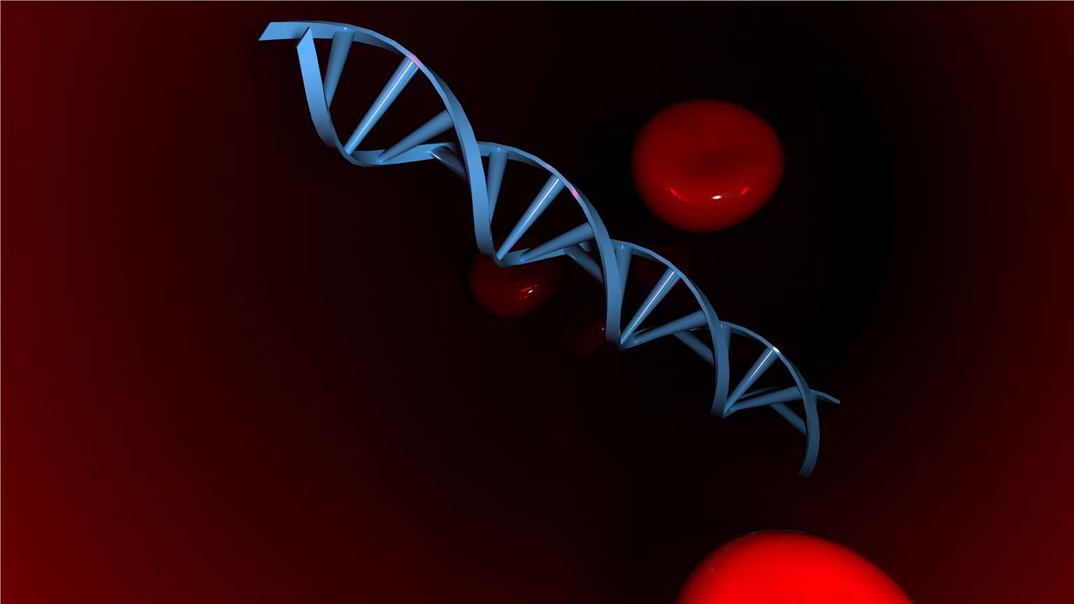 cDNA. (Creative Biolabs Authorized)