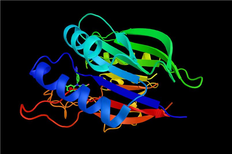 TRAF and TNF receptor-associated protein (TTRAP). (Creative Biolabs Authorized)