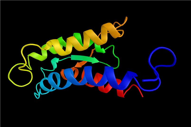 Interleukin-2. (Creative Biolabs Authorized)