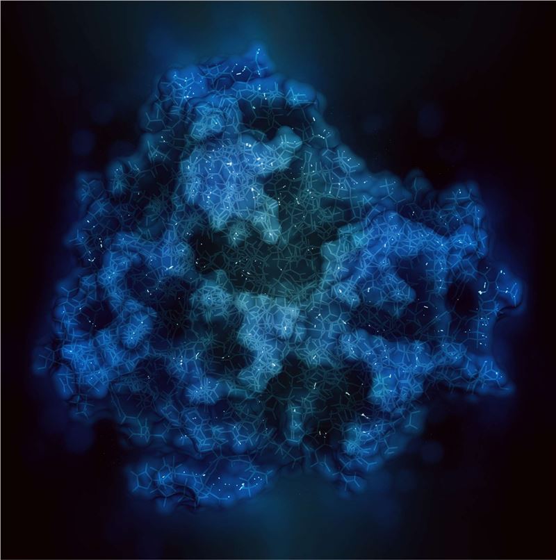 Platelet-derived growth factor receptor A protein. (Creative Biolabs Authorized)