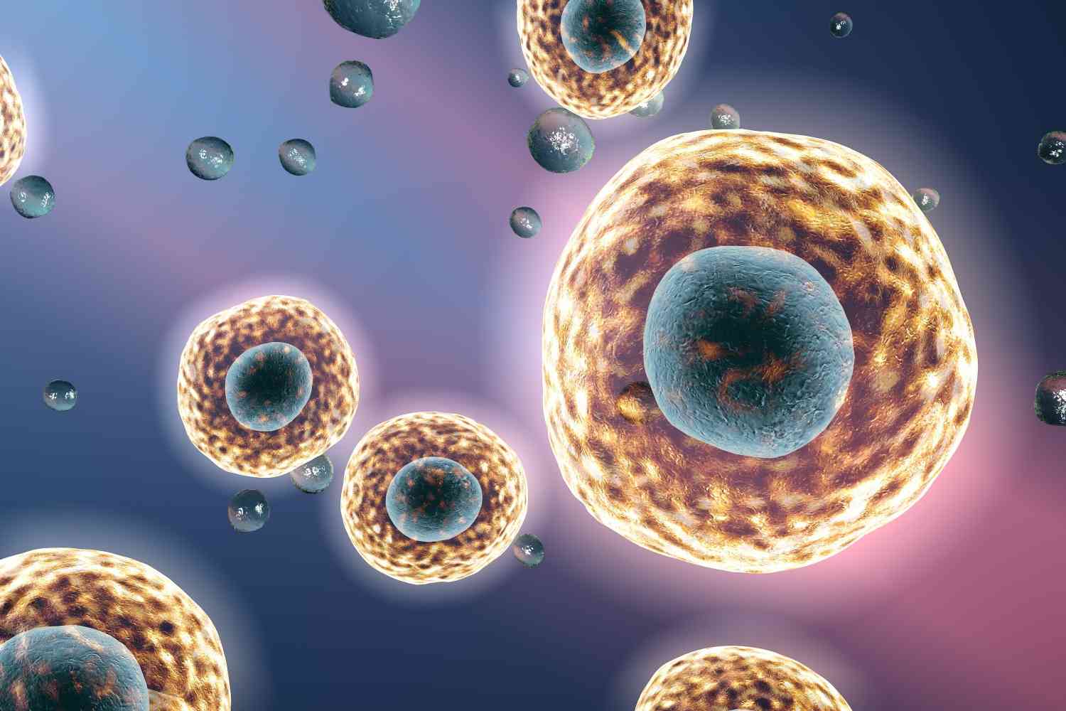 Fig. 1 In Vitro Cell Culture Model