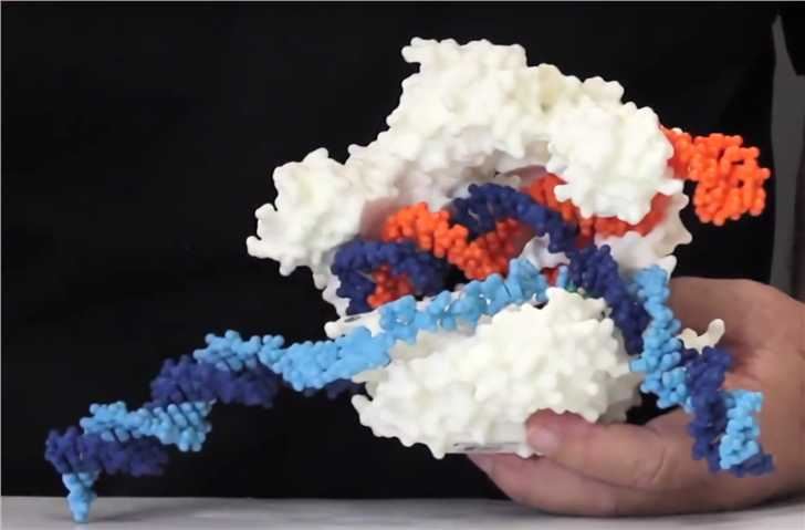 Error Detection for protein modeling - Creative Biolabs