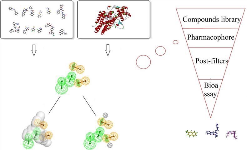 Ligand-based pharmacophore modeling and screening.