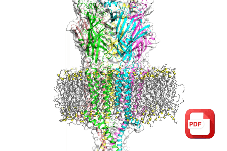 Membrane Protein Production Platform